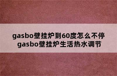 gasbo壁挂炉到60度怎么不停 gasbo壁挂炉生活热水调节